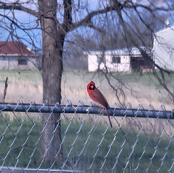 Meet your Posher, Chelle - Picture 2 of 6